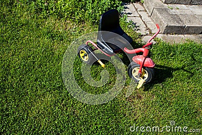 Childhood. Small red tricycle cycle toy on grass. Stock Photo