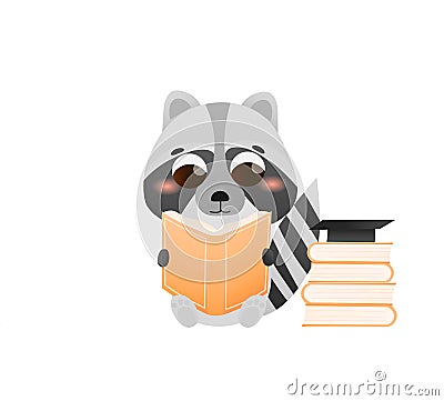 Childish cartoon raccoon character reading book, cute schooler studying,animal education in cartoon style Vector Illustration