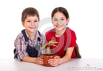 Children caring for potted plant Stock Photo