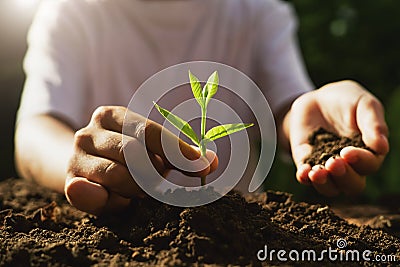 children caring young plant on soil in garden Stock Photo