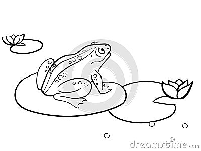 Children coloring toad, a frog is sitting on a water lily. Black and white. Cartoon vector Vector Illustration