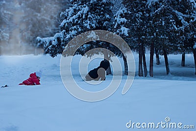 Children crawl through the snow one after another Stock Photo