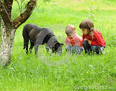 Children with dog Stock Photo