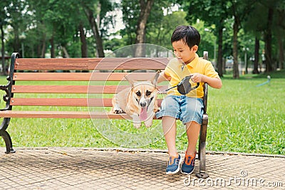 Children and dogs outdoors. Asian little boy enjoying and playing in park with his adorable Pembroke Welsh Corgi Stock Photo