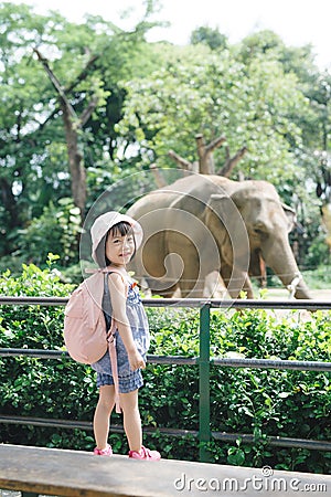 Children feed Asian elephants in tropical safari park during summer vacation. Kids watch animals Stock Photo