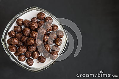 Healthy dairy breakfast with copyspace Stock Photo