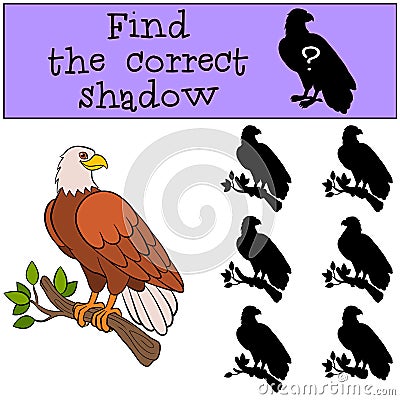 Children games: Find the correct shadow. Cute bald eagle sits on the tree branch. Vector Illustration
