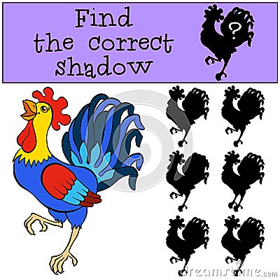 Children games: Find the correct shadow. Cute beautiful rooster. Vector Illustration