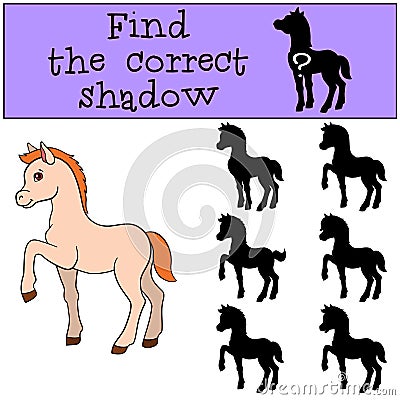 Children games: Find the correct shadow. Little cute foal. Vector Illustration