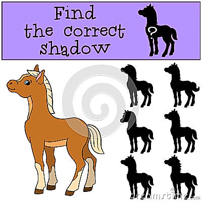 Children games: Find the correct shadow. Little cute foal. Vector Illustration