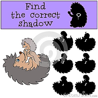 Children games: Find the correct shadow. Mother hedgehog with her little cute baby hedgehog. Vector Illustration