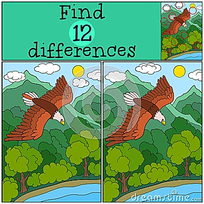 Children games: Find differences. Cute bald eagle flying under the forest. Vector Illustration