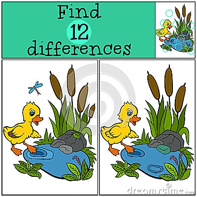 Children games: Find differences. Little cute duckling. Vector Illustration