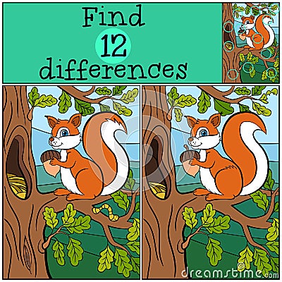 Children games: Find differences. Little cute squirrel. Vector Illustration