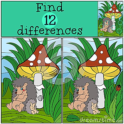 Children games: Find differences. Mother hedgehog seets and her cute baby hedgehog. Vector Illustration