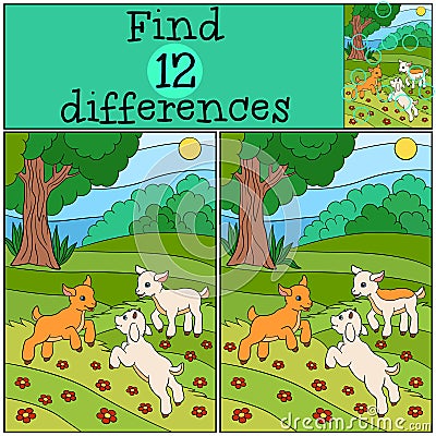 Children games: Find differences. Three little cute baby goats. Vector Illustration