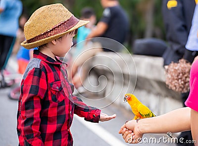Children give a food for a bird in the park Stock Photo