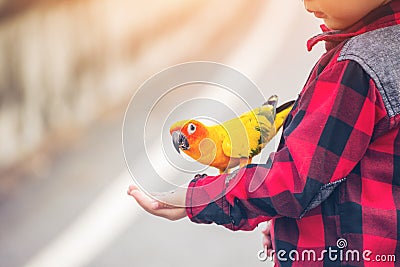 Children give a food for a bird in the park. Stock Photo