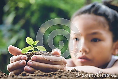 children hand holding small tree for planting in garden. concept Stock Photo