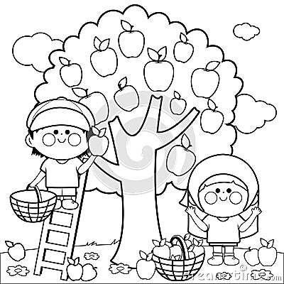 Children picking apples. Vector black and white coloring page. Vector Illustration