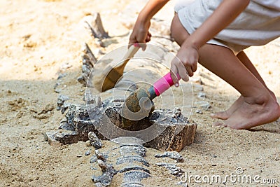 Children learning about, Excavating dinosaur fossils simulation Stock Photo