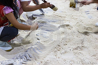 Children are learning history dinosaur, Excavating dinosaur fossils simulation Stock Photo