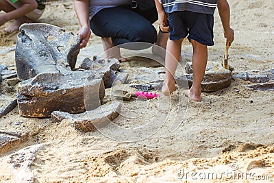 Learning history dinosaur, Excavating dinosaur fossils simulation in the park Stock Photo