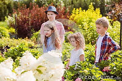 Children are learning planting and seedling outdoors Stock Photo