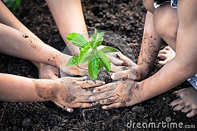 Children and parent hand planting young tree on black soil Stock Photo