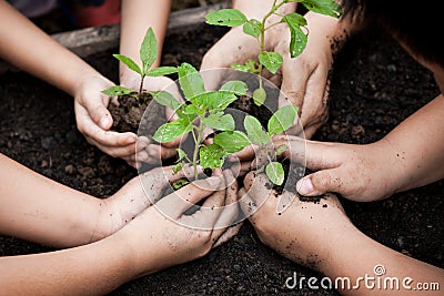 Children and parent hands planting young tree on black soil Stock Photo