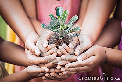 Children and parent holding young tree in hands for planting Stock Photo