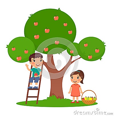 Children picking apples color flat vector illustration. Little boy and girl harvesting fruits together. Vector Illustration