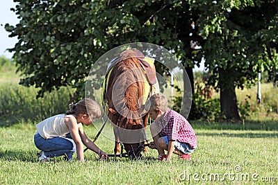 Children play with pony horse Stock Photo