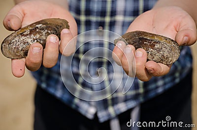 Children on the river Bank. Shells in the hands of the child. Stock Photo