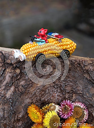 Children`s car made from dry corn cob. family creativity with children from natural materials Stock Photo