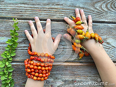 Children`s creativity bracelet made of autumn berries: Rowan berries and rose hips. On children`s hands Stock Photo