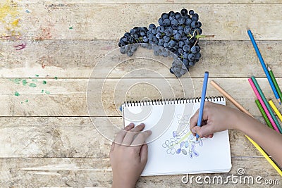 Children`s drawing, grapes and colored pencils. Wooden table. To Stock Photo