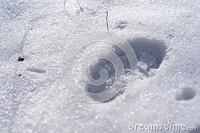 Children`s footprint in the snow Stock Photo