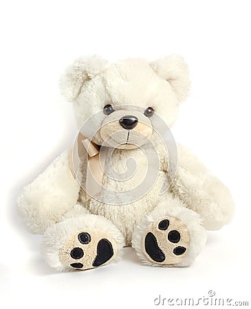 Children`s toy - white teddy bear on a white background Stock Photo