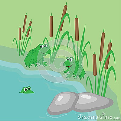 Funny frogs are swimming in the swamp. Stock Photo