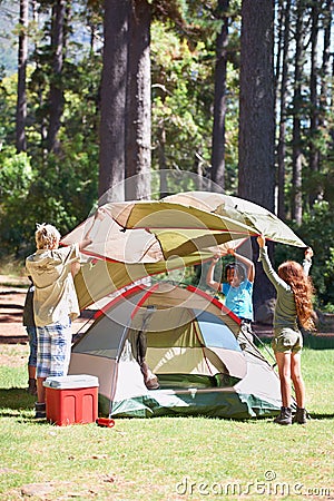 Children, tent and camping setup in forest for shelter, cover together on the grass in nature. Happy kids in teamwork Stock Photo