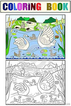 Childrens coloring book and color cartoon family of Swan on nature. Cartoon Illustration