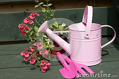 Childs pink watering can and tools Stock Photo