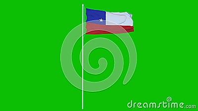 Waving Green Flag Animation Seamless Loop. Green Background Flag Video  Waving in Wind Stock Footage - Video of empty, celebration: 195382316