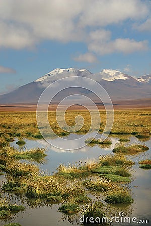 Chilean Atacama Desert Stock Photo