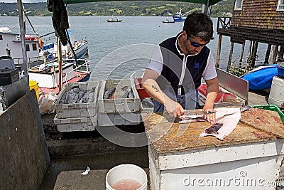 Chilean fisherman, Chile Editorial Stock Photo