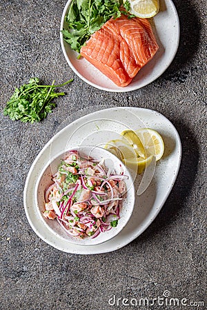 CHILEAN SALMON SEVICHE. Fresh raw salmon marinaded with purple onion, coriander in lemon juice. Ceviche and ingredientes Stock Photo