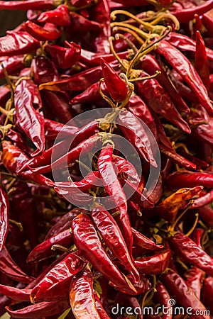 Chili pepper dried whole fruit spicy seasoning row of many pods base design culinary base of dishes asia Stock Photo