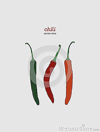 Chili Pepper hand drawn vector illustration. Vector Illustration