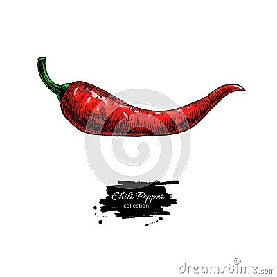 Chili Pepper hand drawn vector illustration. Vegetable object. hot spicy Vector Illustration